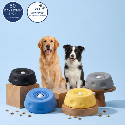 Fivvra™ Anxiety Slow Feeder Bowl