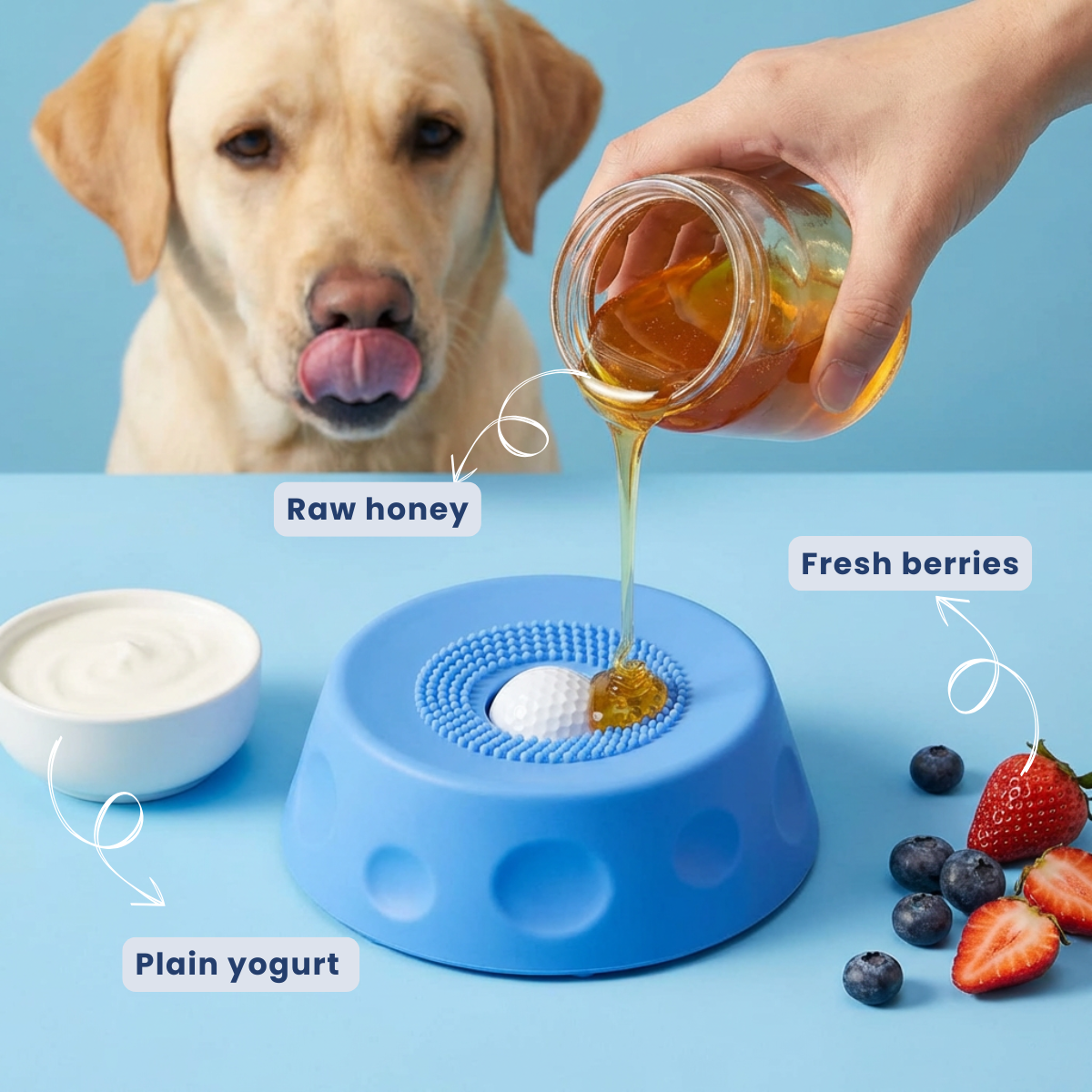 Fivvra™ Anxiety Slow Feeder Bowl