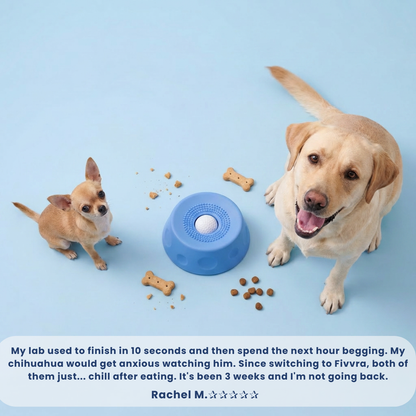 Fivvra™ Anxiety Slow Feeder Bowl